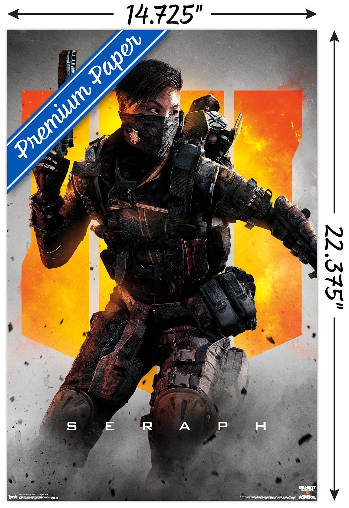 Call of Duty: Black Ops 4 - Seraph Key Art Wall Poster : Amazon.ca